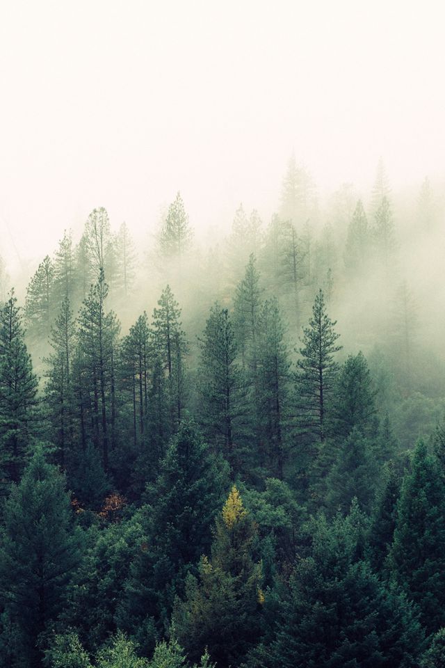 Landscapes